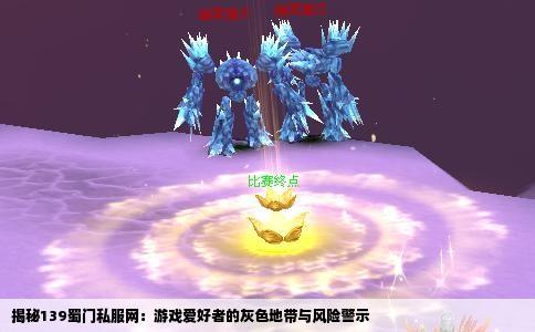 揭秘139蜀门私服网：游戏爱好者的灰色地带与风险警示