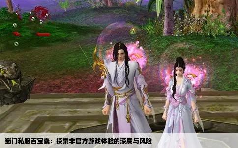 蜀门私服百宝囊：探索非官方游戏体验的深度与风险
