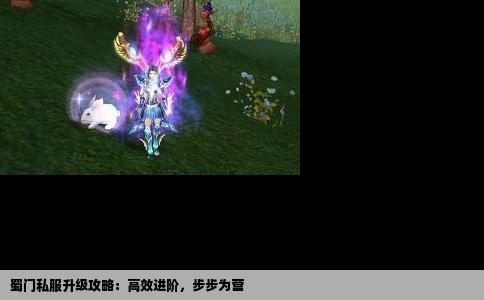 蜀门私服升级攻略：高效进阶，步步为营