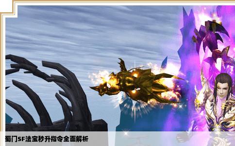 蜀门SF法宝秒升指令全面解析