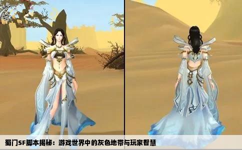 蜀门SF脚本揭秘：游戏世界中的灰色地带与玩家智慧