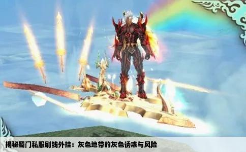 揭秘蜀门私服刷钱外挂：灰色地带的灰色诱惑与风险